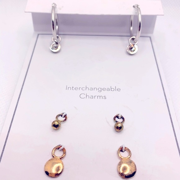 Gold and Silver Interchangeable Earrings Set with Charms - Picture 1 of 8